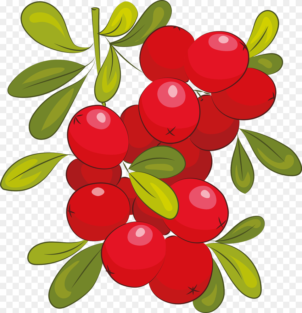 Cranberry Clipart, Food, Fruit, Plant, Produce Free Transparent Png