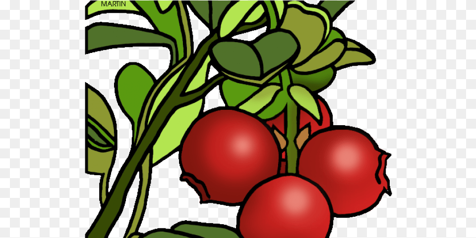 Cranberry Clipart Massachusetts, Food, Fruit, Plant, Produce Png