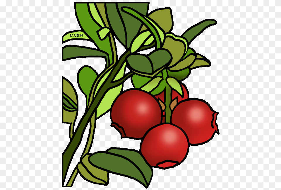 Cranberry Clipart Thanksgiving, Food, Fruit, Plant, Produce Png Image