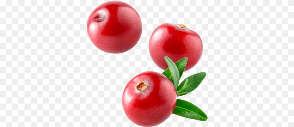 Cranberry Cranberry, Food, Fruit, Plant, Produce Png Image