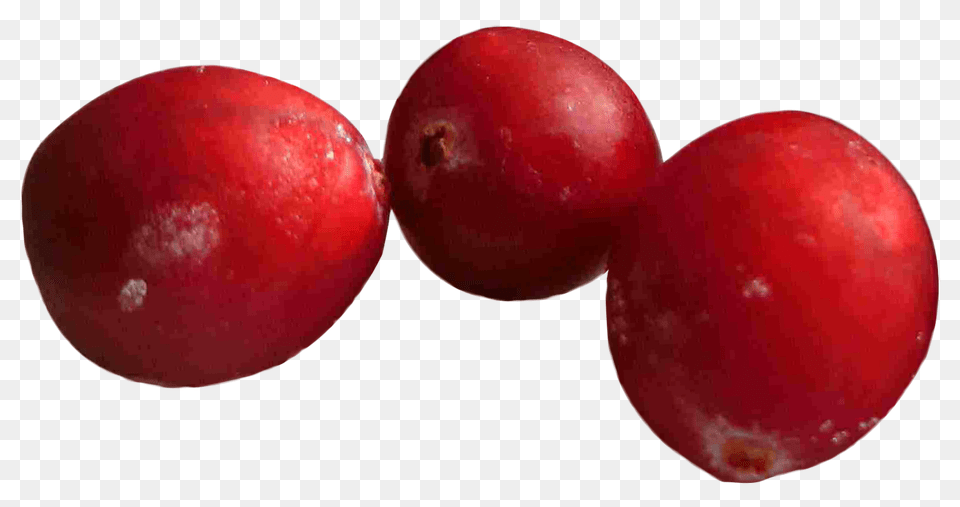 Cranberry Image, Food, Fruit, Plant, Produce Png