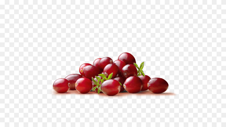 Cranberry Image, Food, Fruit, Plant, Produce Free Png Download