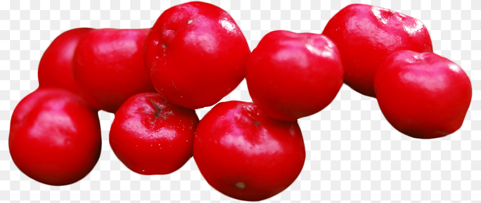 Cranberry Food, Fruit, Plant, Produce Png Image