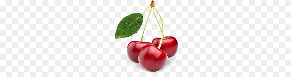Cranberry Juice History Benefits Fun Facts, Cherry, Food, Fruit, Plant Free Transparent Png