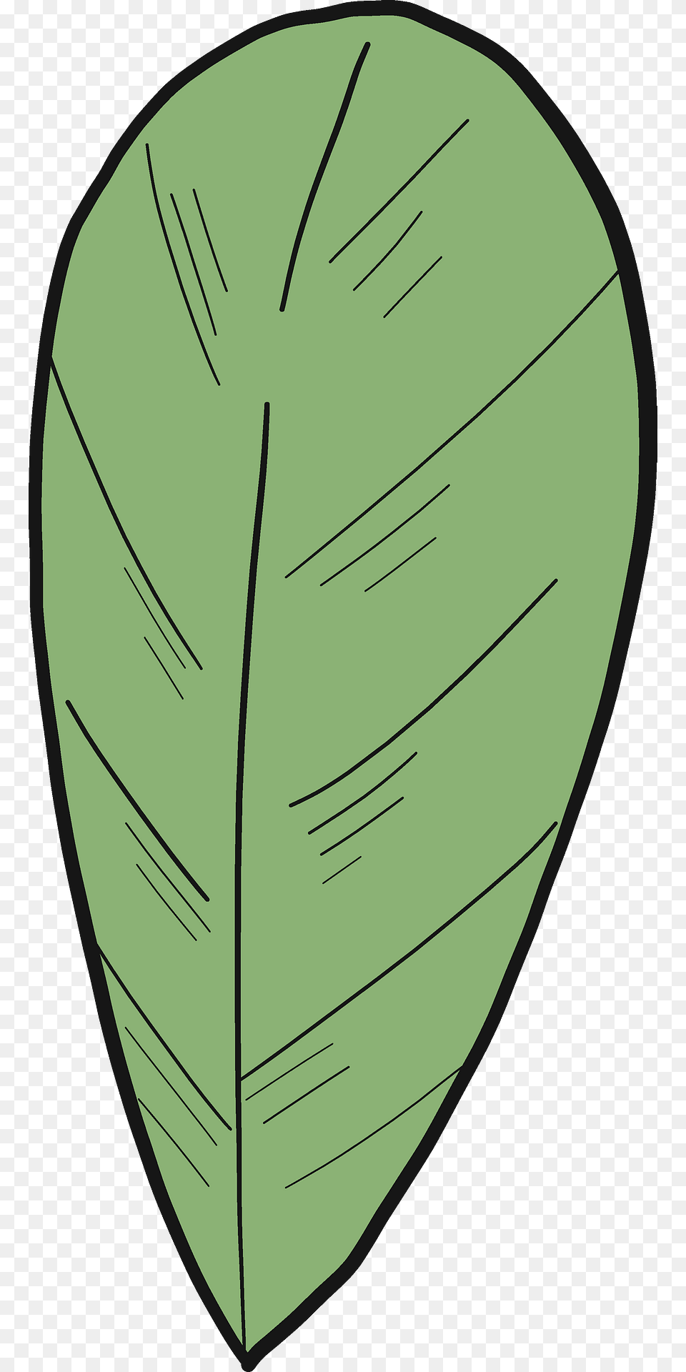 Cranberry Leaf Clipart, Plant, Bow, Weapon Png Image