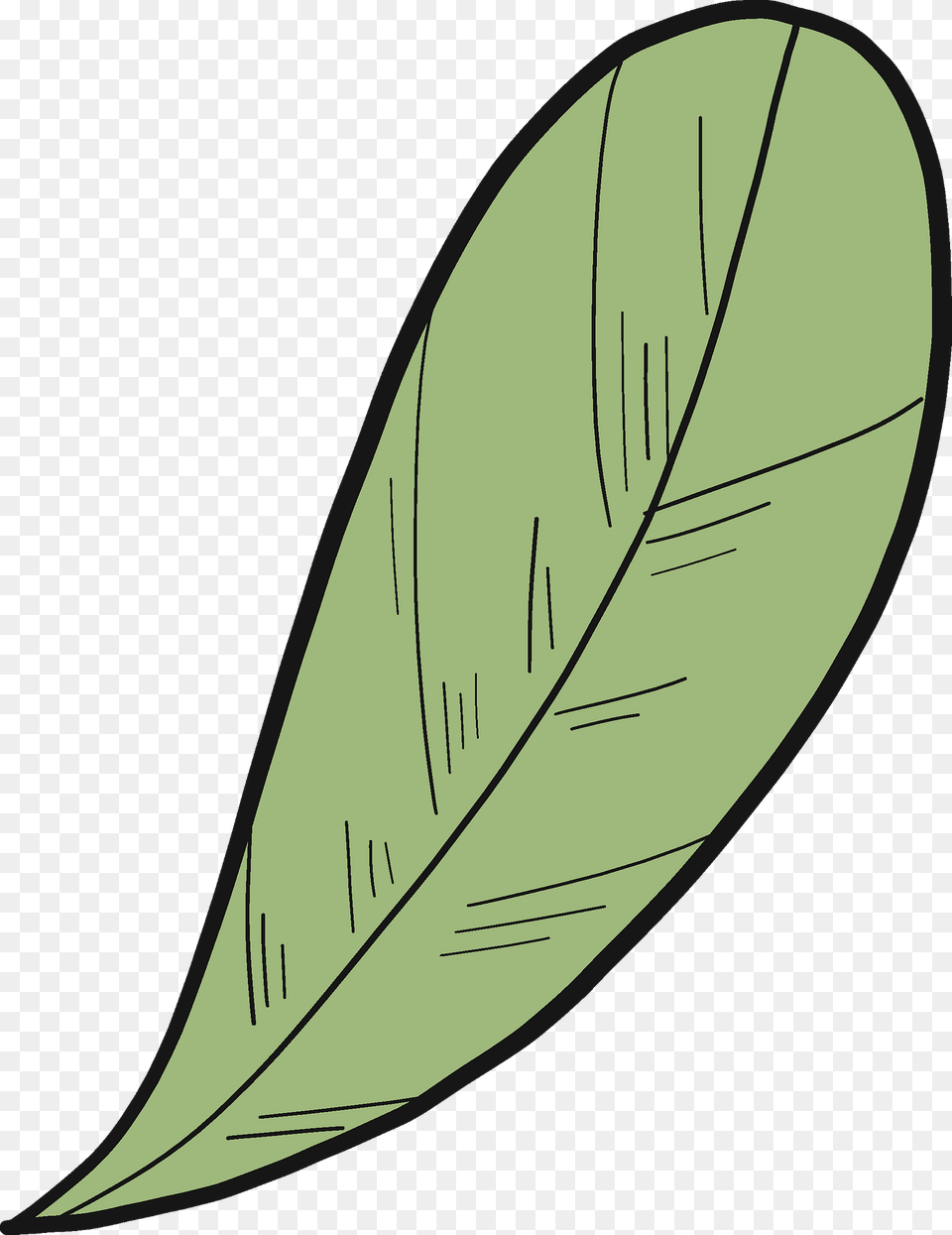 Cranberry Leaf Clipart, Plant, Bow, Weapon, Annonaceae Png Image