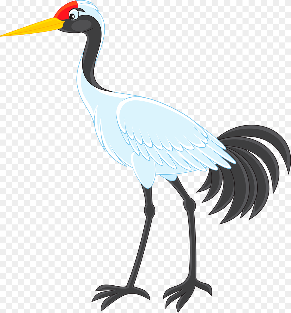 Crane, Animal, Bird, Crane Bird, Waterfowl Free Transparent Png