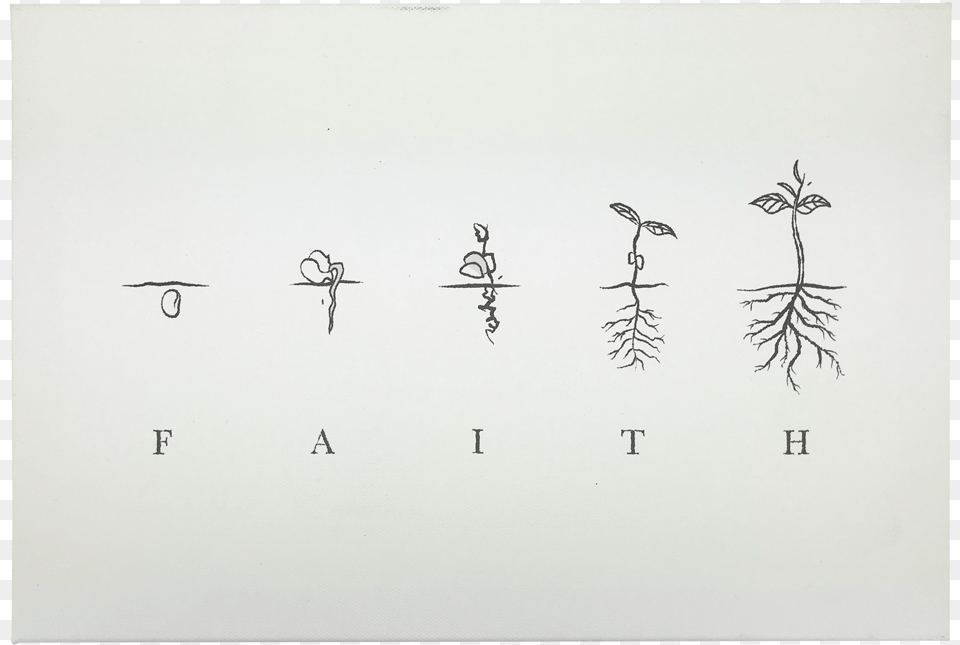 Crane, Plant, Root, White Board, Animal Png Image