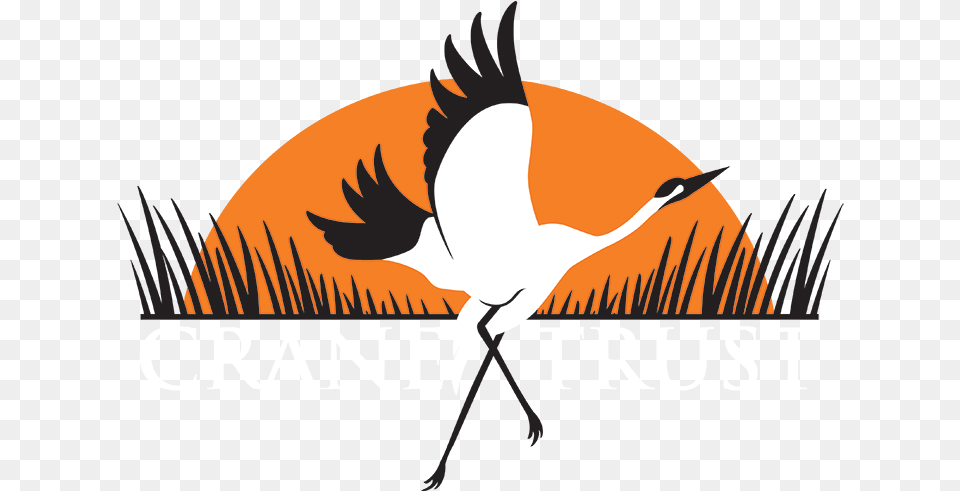 Crane Bird Crane Trust Crane Vippng Crane Trust, Animal, Crane Bird, Waterfowl, Person Png