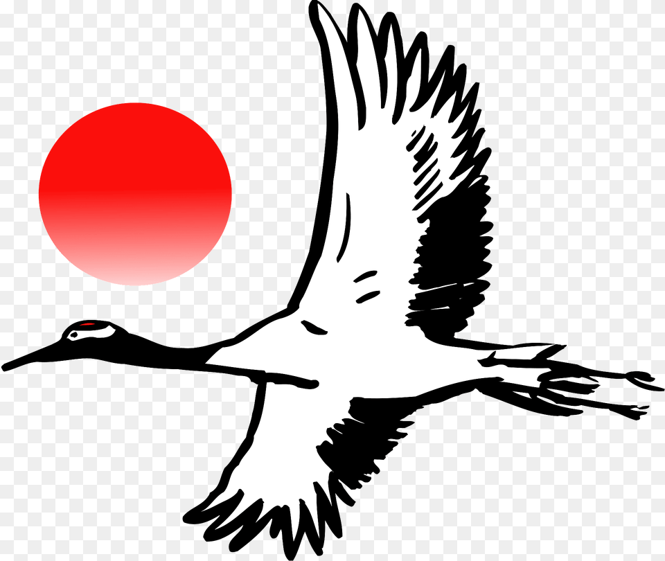 Crane Bird Flying, Animal, Crane Bird, Waterfowl, Person Free Png