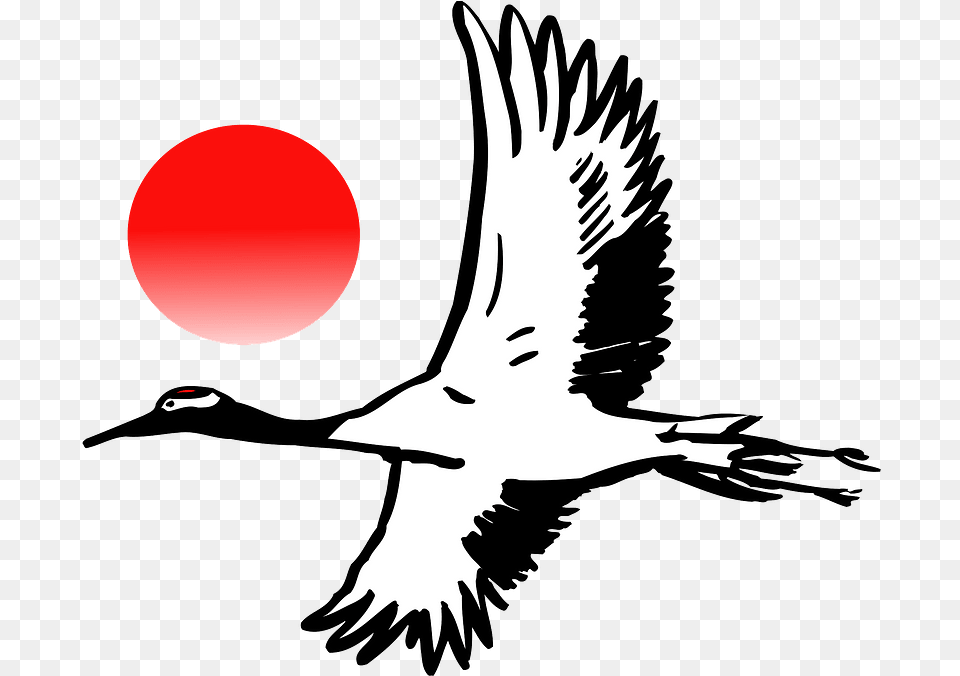Crane Bird Flying, Animal, Person, Vulture, Eagle Png