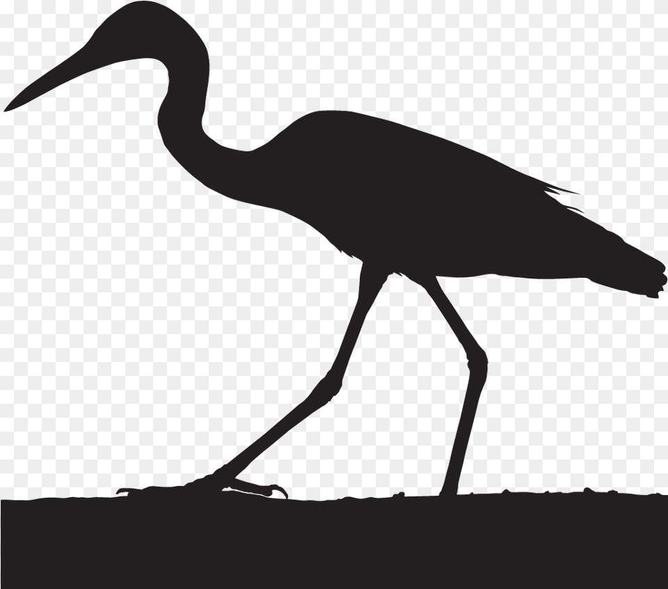 Crane Bird Head Silhouette, Animal, Crane Bird, Waterfowl, Heron Png Image