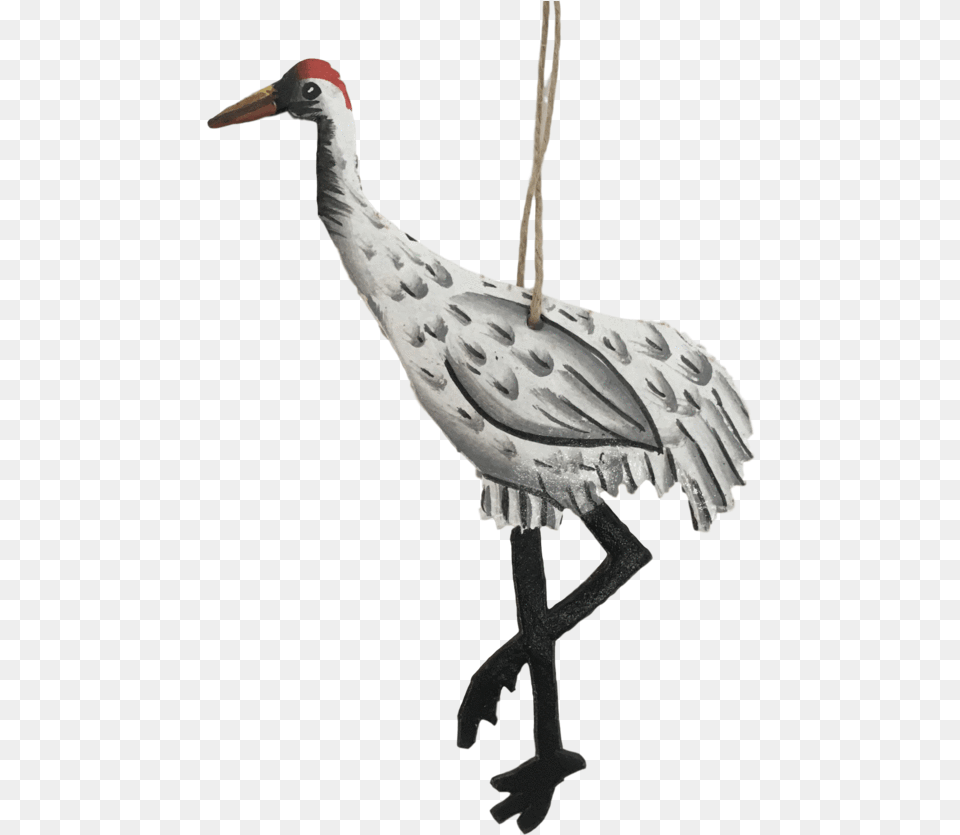 Crane Bird Long, Animal, Crane Bird, Waterfowl, Cross Png Image