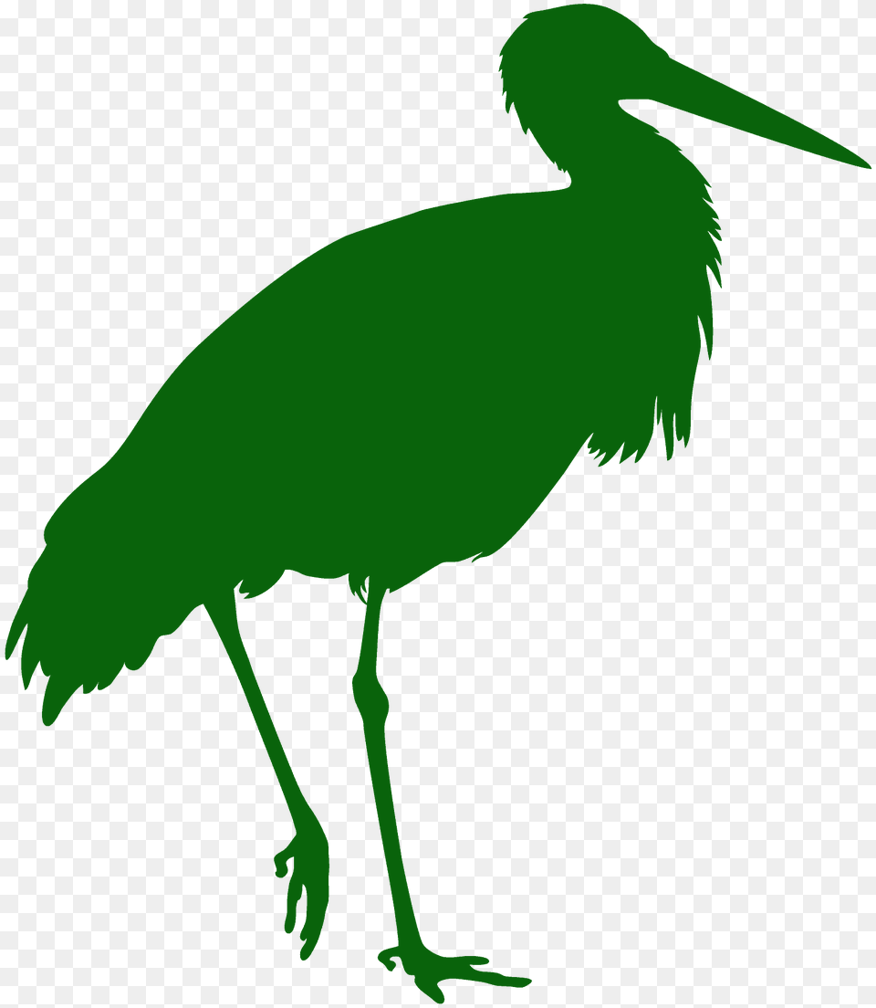 Crane Bird Silhouette, Animal, Crane Bird, Stork, Waterfowl Png