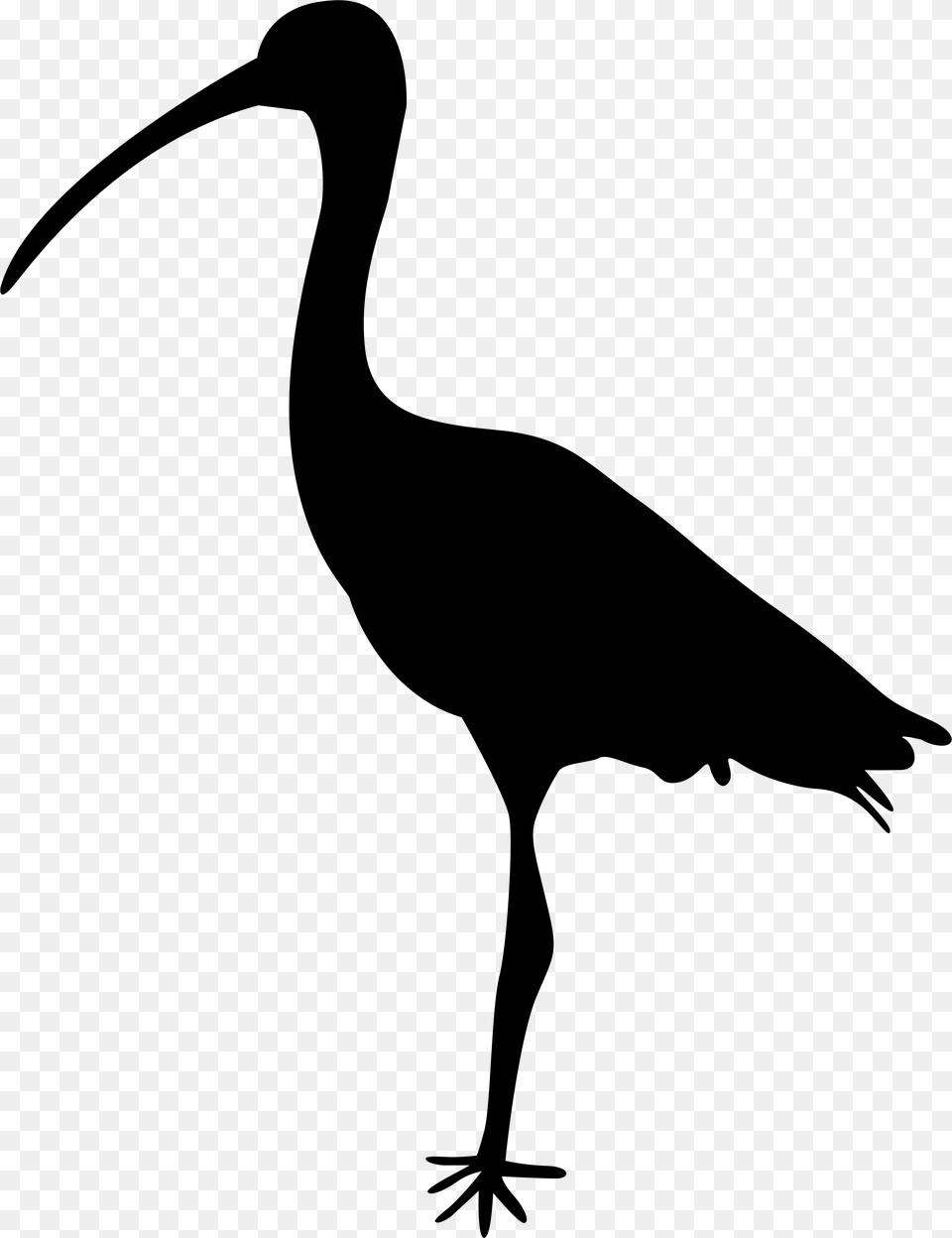Crane Bird Silhouette At Getdrawings, Gray Free Png Download