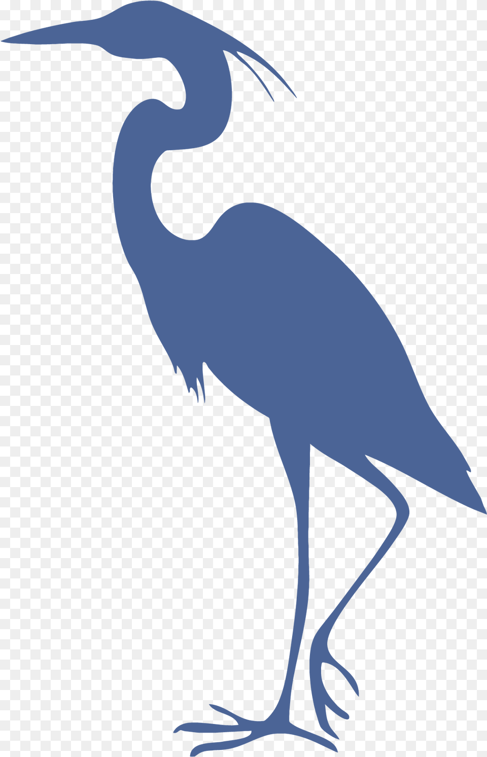 Crane Bird Silhouette Clip Art, Animal, Crane Bird, Waterfowl, Heron Free Png
