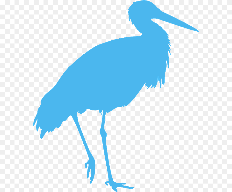 Crane Bird Silhouette Vector Silhouettes Creazilla Long, Animal, Crane Bird, Stork, Waterfowl Png