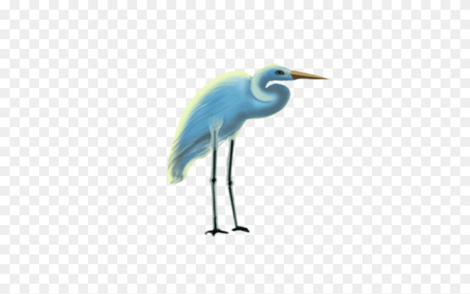 Crane Bird Transparent Egret, Animal, Crane Bird, Waterfowl, Heron Free Png Download