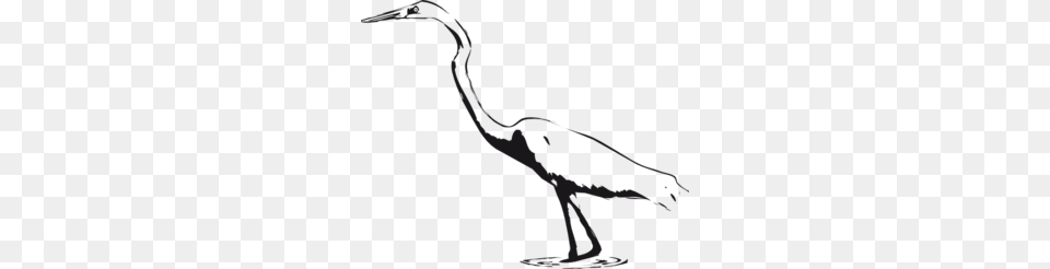 Crane Clip Art, Animal, Bird, Crane Bird, Waterfowl Free Png