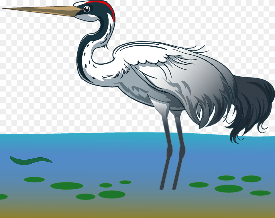 Crane Clipart, Animal, Bird, Crane Bird, Waterfowl Free Transparent Png