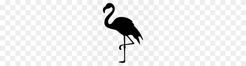 Crane Clipart, Animal, Bird, Flamingo, Person Free Transparent Png