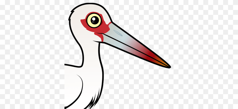 Crane Clipart Stork Bird, Animal, Beak, Crane Bird, Waterfowl Png Image
