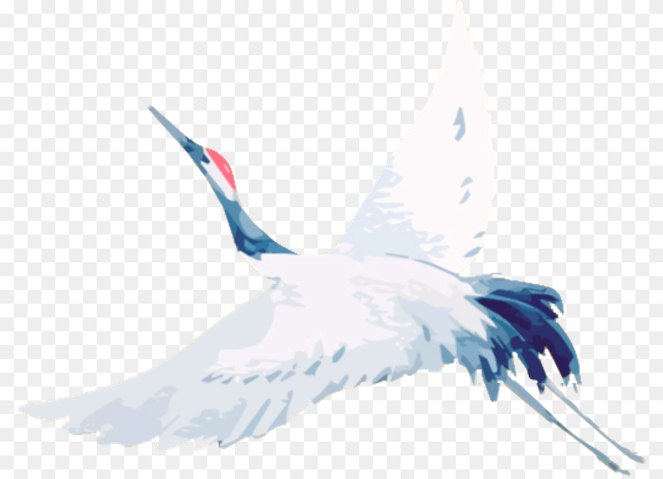 Crane I, Animal, Bird, Crane Bird, Waterfowl Free Transparent Png