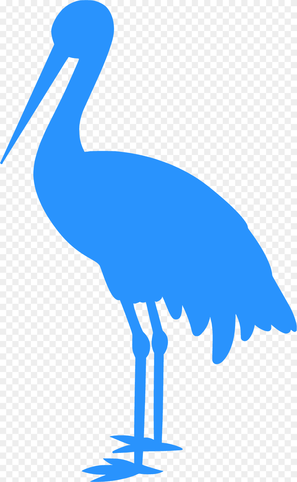 Crane Silhouette, Animal, Bird, Crane Bird, Stork Png Image