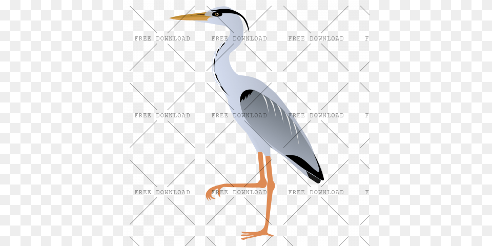Crane Stork Bird Image With Transparent Background Cartoon Heron, Animal, Crane Bird, Waterfowl Free Png