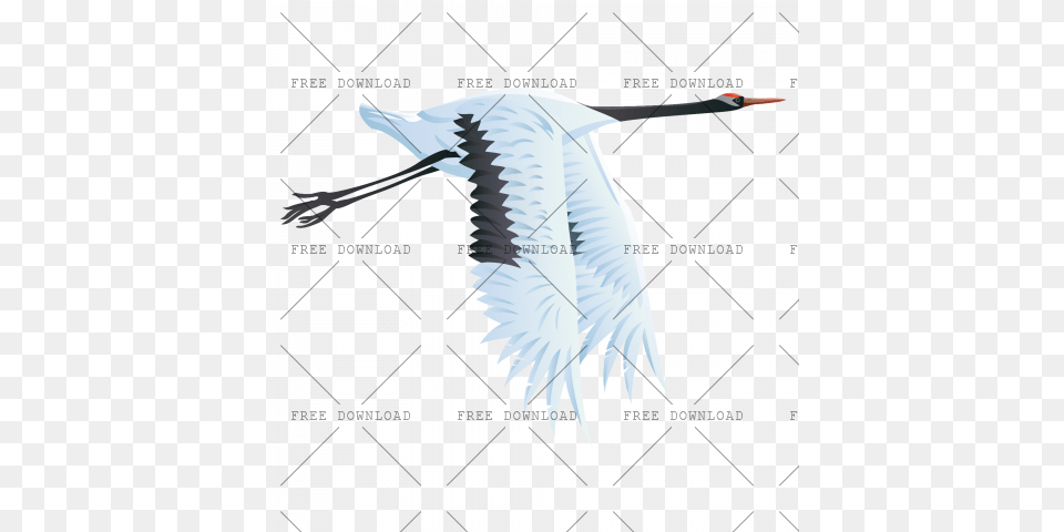 Crane Stork Bird With Transparent Background Birds, Animal, Crane Bird, Flying, Waterfowl Free Png