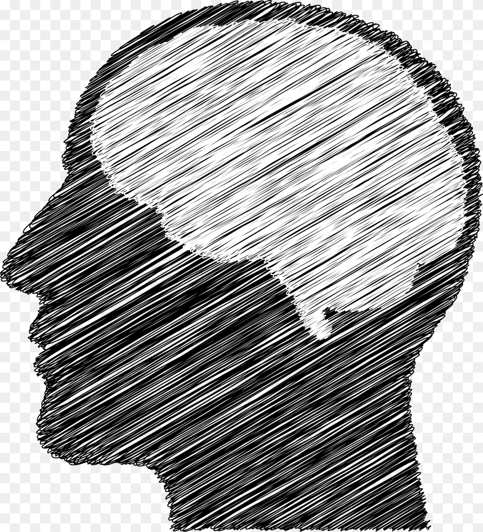 Cranium Clipart, Silhouette, Head, Person, Adult Free Png Download