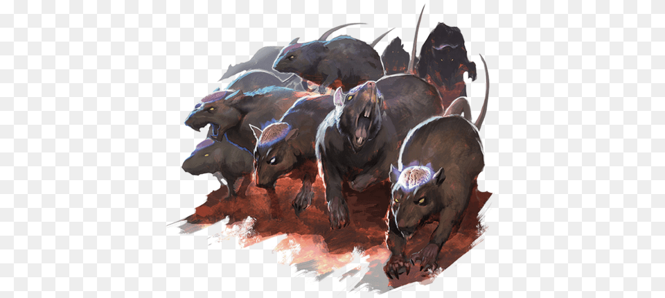 Cranium Rat Angry Rats Dnd, Animal, Boar, Hog, Mammal Free Png