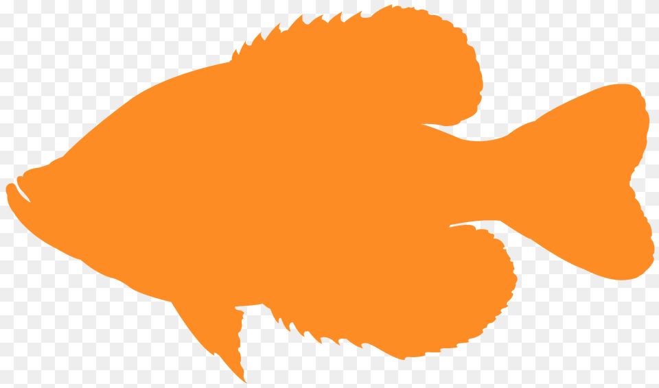 Crappie Silhouette, Animal, Fish, Sea Life, Shark Free Transparent Png