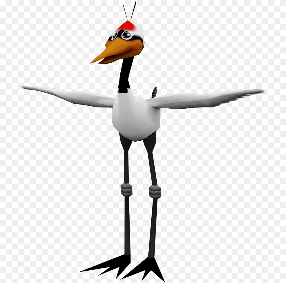 Crash Bandicoot, Animal, Beak, Bird, Flying Png Image