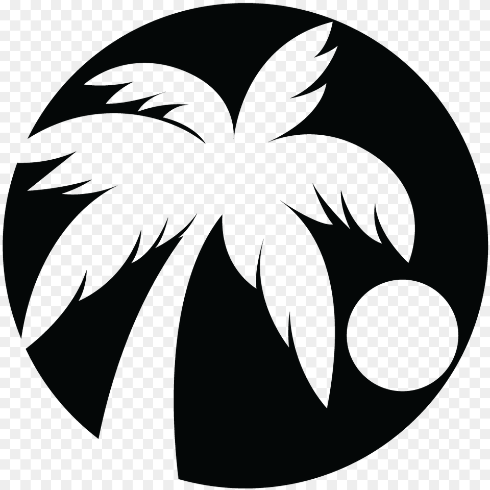 Crater, Palm Tree, Plant, Tree, Astronomy Free Transparent Png