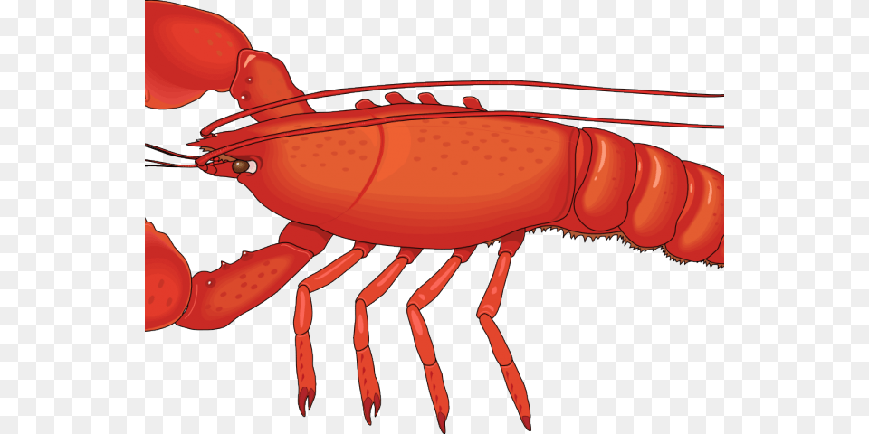 Crawfish Clipart Crab Lobster, Animal, Food, Invertebrate, Sea Life Png