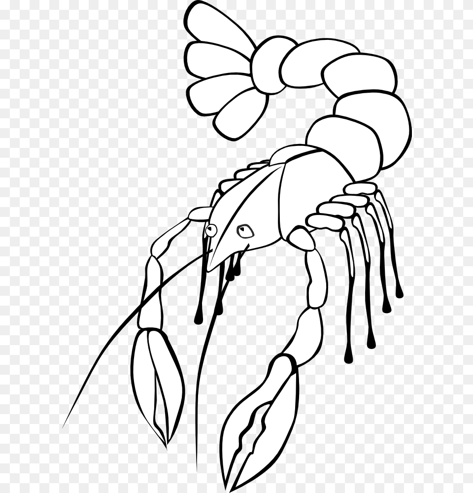 Crawfish Crawfish Clip Art, Food, Seafood, Animal, Sea Life Free Transparent Png