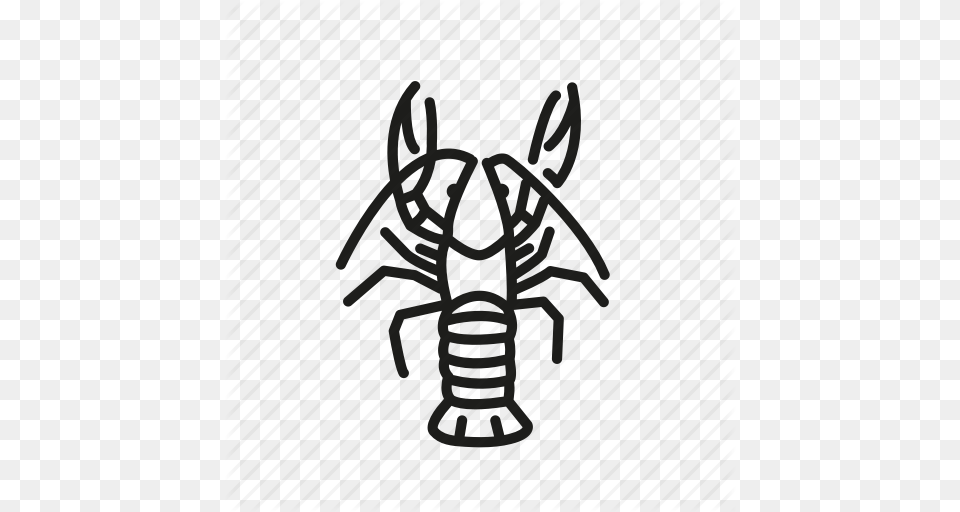 Crawfish Crayfish Freshwater Freshwater Lobsters Lobster Free Png Download