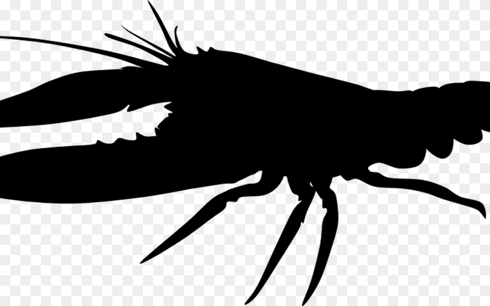 Crawfish Silhouette Hot Trending Now, Animal, Crawdad, Food, Invertebrate Free Png