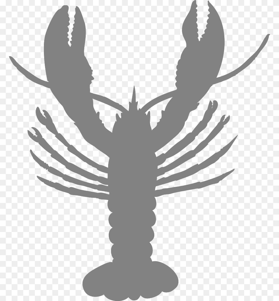 Crawfish Vector Pdf American Lobster, Gray Free Png Download