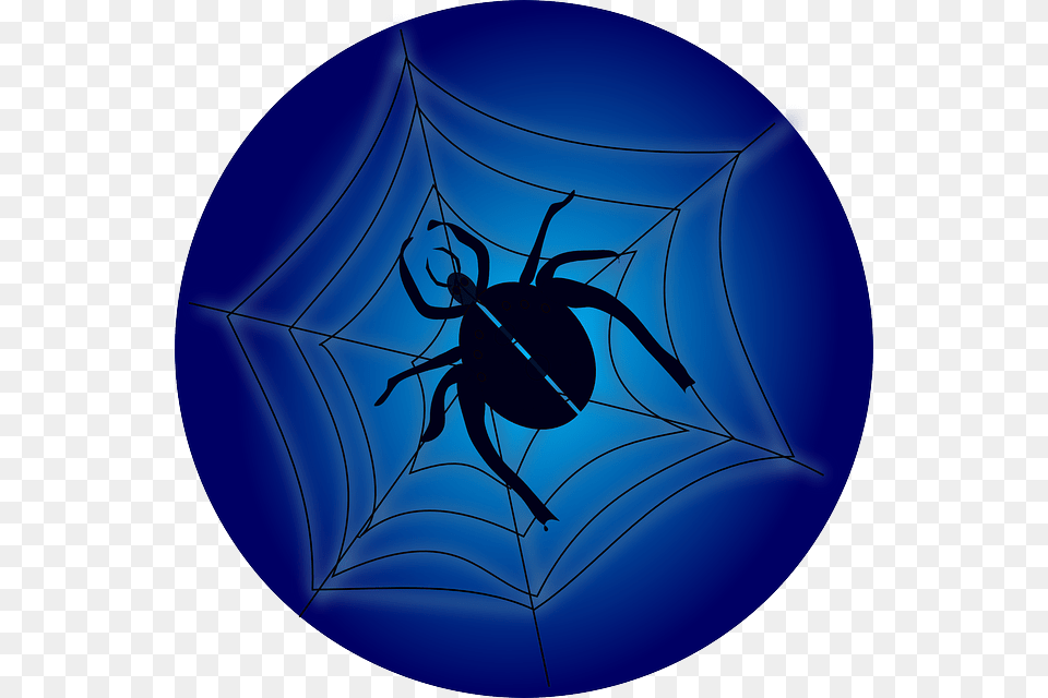 Crawl Insect Spider Web Spiderweb Cobweb Arachnophobia, Spider Web, Animal, Invertebrate Free Png