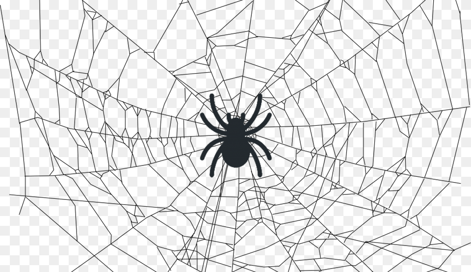 Crawleando A Web Com O Scrapy Realistic Spider Web Drawing, Animal, Food, Invertebrate, Lobster Png