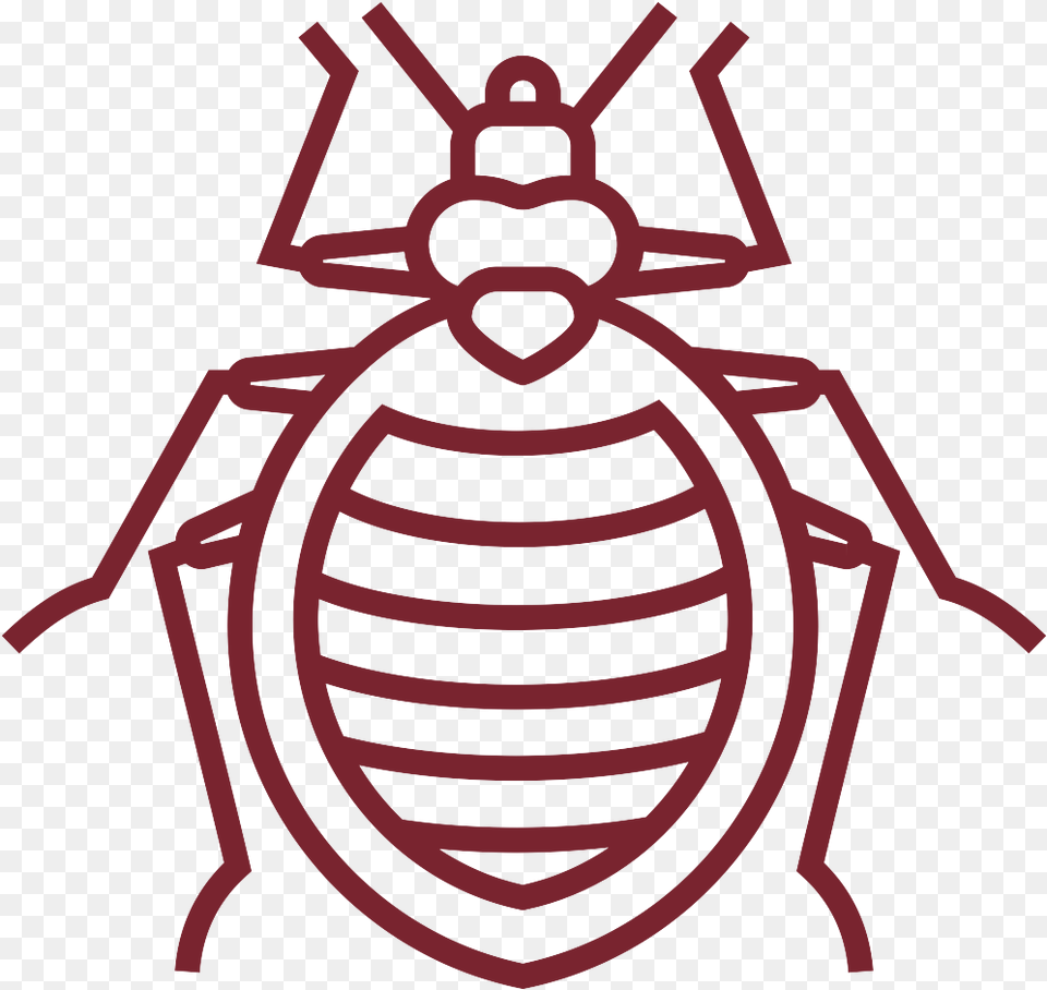 Crawling Insects Illustration, Animal, Cockroach, Insect, Invertebrate Png Image