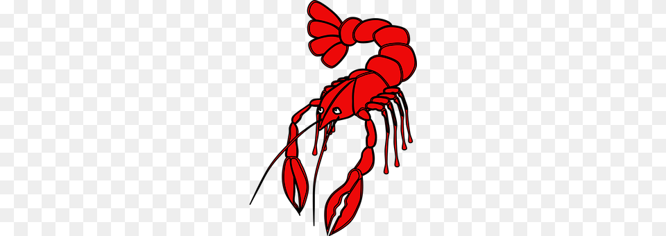 Crayfish Food, Seafood, Animal, Sea Life Free Transparent Png