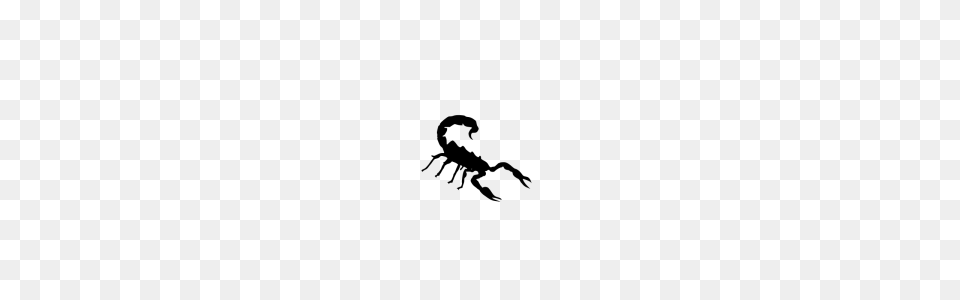 Crayfish Clip Art, Stencil, Animal, Invertebrate, Scorpion Free Transparent Png