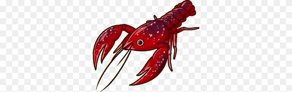 Crayfish Little Dragons Wiki Fandom Powered, Food, Seafood, Animal, Sea Life Png