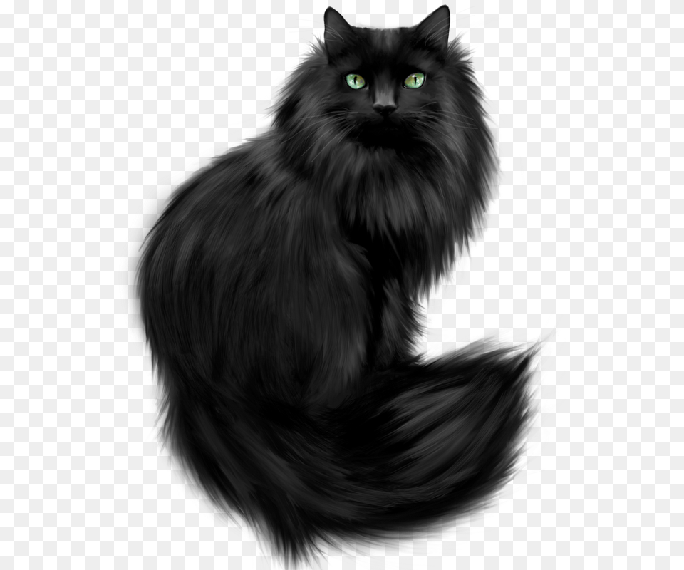 Crazy Catt Black Cats Black Cat Art Black Kitty Cant Touch This Pillow Case, Animal, Mammal, Pet, Black Cat Png Image