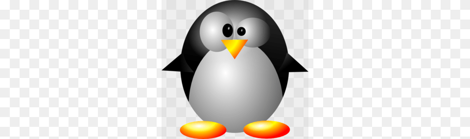 Crazy Clipart, Animal, Bird, Penguin, Nature Png Image