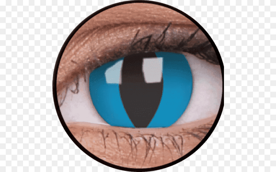 Crazy Lens Cheshire Cat, Contact Lens, Disk Png Image
