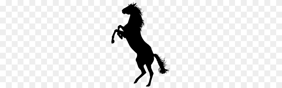 Crazy Wild Horse Sticker, Silhouette, Animal, Mammal, Stencil Free Png Download